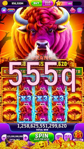 555q Preview - Resmi Unduh